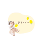 shi__stamp（個別スタンプ：2）