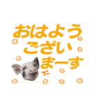 クリスチャン575クラブ（個別スタンプ：1）