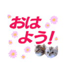 クリスチャン575クラブ（個別スタンプ：2）