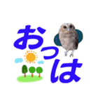 クリスチャン575クラブ（個別スタンプ：3）