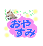 クリスチャン575クラブ（個別スタンプ：6）