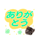 クリスチャン575クラブ（個別スタンプ：8）