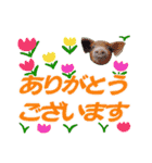 クリスチャン575クラブ（個別スタンプ：9）