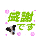 クリスチャン575クラブ（個別スタンプ：10）