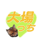 クリスチャン575クラブ（個別スタンプ：20）