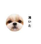 ももちゃんの使いやすい言葉（個別スタンプ：2）