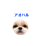 ももちゃんの使いやすい言葉（個別スタンプ：35）