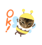 毎日元気出して（個別スタンプ：5）