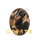 れおんとかいりの特盛（個別スタンプ：4）