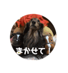れおんとかいりの特盛（個別スタンプ：11）