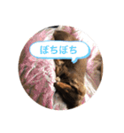 れおんとかいりの特盛（個別スタンプ：18）