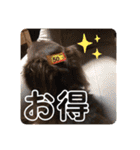 れおんとかいりの特盛（個別スタンプ：22）
