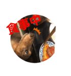 れおんとかいりの特盛（個別スタンプ：23）
