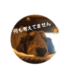 れおんとかいりの特盛（個別スタンプ：27）