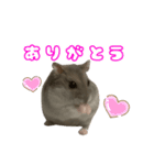 我が家のるな2（個別スタンプ：1）