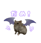 我が家のるな2（個別スタンプ：4）
