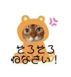 caesaru（個別スタンプ：24）