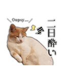 まんちかんのこむぎ2（個別スタンプ：8）
