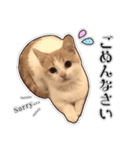 まんちかんのこむぎ2（個別スタンプ：9）