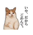 まんちかんのこむぎ2（個別スタンプ：10）