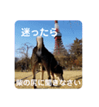 うちのオハナ第二弾（個別スタンプ：1）