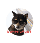 うちのオハナ第二弾（個別スタンプ：10）