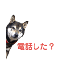うちのオハナ第二弾（個別スタンプ：28）
