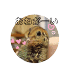 うちのオハナ第二弾（個別スタンプ：33）