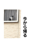 ちちの日常（個別スタンプ：32）
