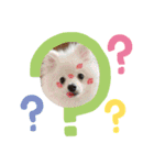 ムスメ作スタンスタンプ（個別スタンプ：6）