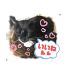 トリーズ＆ネコーズ 3（個別スタンプ：5）