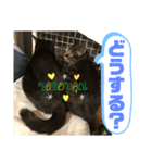 トリーズ＆ネコーズ 3（個別スタンプ：8）