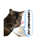 トリーズ＆ネコーズ 3（個別スタンプ：18）