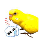 トリーズ＆ネコーズ 3（個別スタンプ：21）