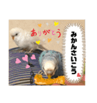 トリーズ＆ネコーズ 3（個別スタンプ：22）