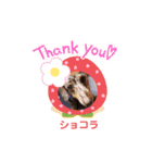 都会の男 ショコラ（個別スタンプ：3）