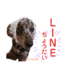 都会の男 ショコラ（個別スタンプ：5）