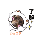 都会の男 ショコラ（個別スタンプ：8）