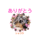 都会の男 ショコラ（個別スタンプ：12）