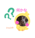 都会の男 ショコラ（個別スタンプ：14）
