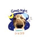 都会の男 ショコラ（個別スタンプ：15）