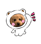 おうちごはん美なみ看板犬クッキー3（個別スタンプ：11）