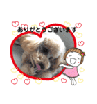 おうちごはん美なみ看板犬クッキー3（個別スタンプ：14）