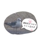 にちじょうのいろいろ（個別スタンプ：38）