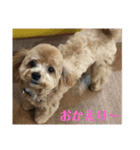 虎之介の日常（個別スタンプ：3）