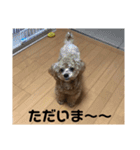 虎之介の日常（個別スタンプ：4）