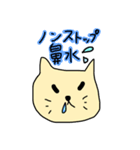 時空が歪んだねこ（個別スタンプ：5）