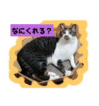 ひかる生活2（個別スタンプ：4）