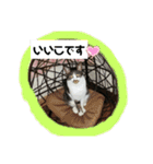 ひかる生活2（個別スタンプ：5）