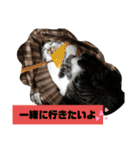 ひかる生活2（個別スタンプ：13）